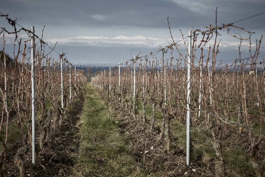 2sp Bilder: Beton statt Barrique