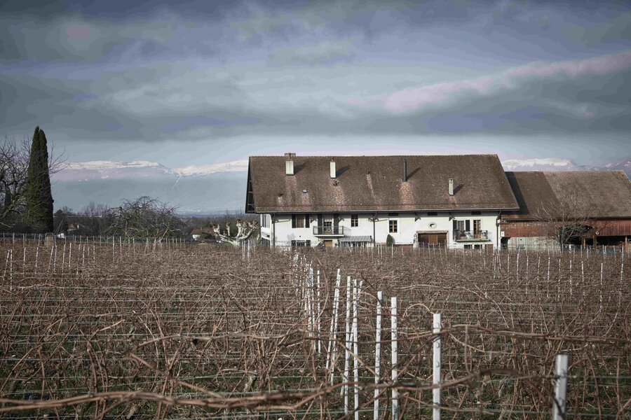 2sp Bilder 3: Beton statt Barrique