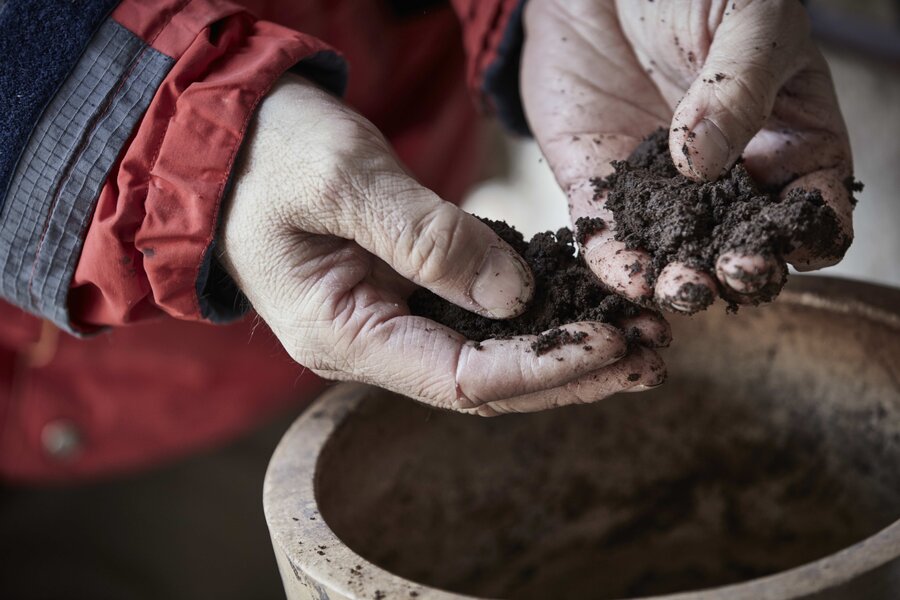 2sp Bilder 3: Beton statt Barrique