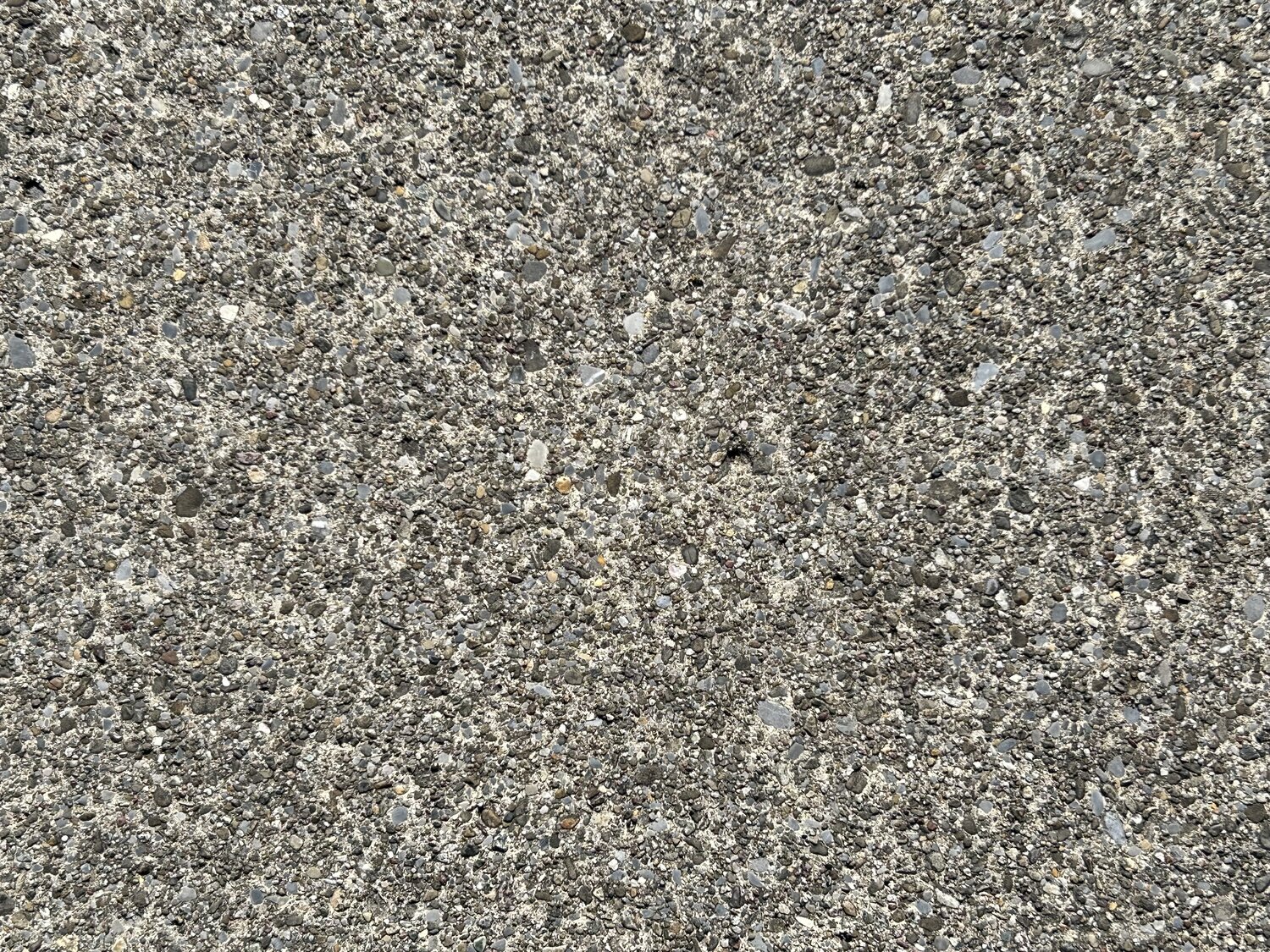 Galerie: Die stillen W&auml;chter des Flughafens