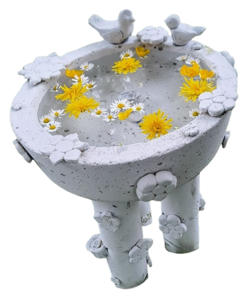 Habush Babush Bad, Team The Five Chaostypen, Schule Biglen