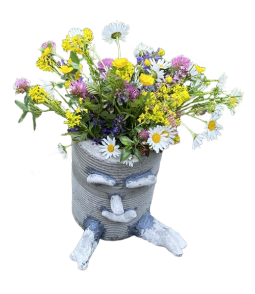 Unser Fred, Team Familie Fred, Schule Biglen