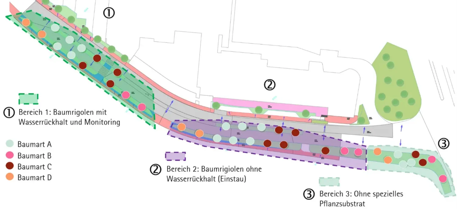 An der Sch&uuml;tzenmattstrasse werden in drei Bereichen die sechs Aspekte Wasserhaushalt, Temperatur und Stadtraumklima, Baumwachstum, Konzentration und Eindringtiefe von Salz und Schadstoffen, Versickerung und Verdunstung sowie Aufwertung durch Begr&uuml;nung untersucht. Visualisierung Stadt B&uuml;lach